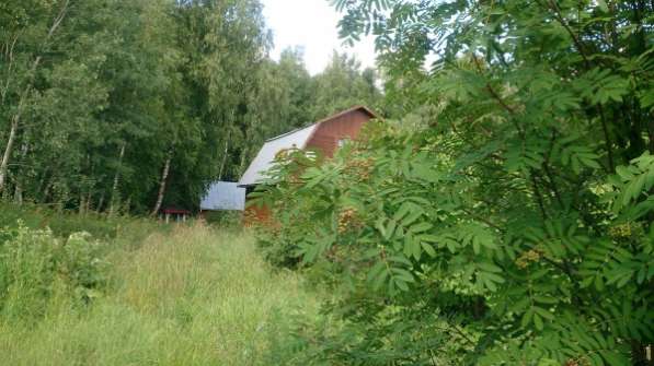 Участок в Ногинске фото 4