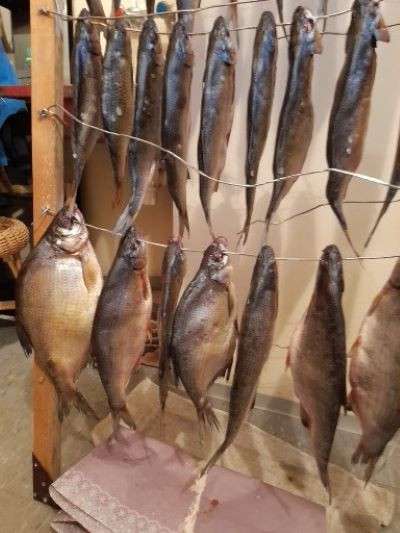 Продам свеже-вяленную рыбу в фото 3