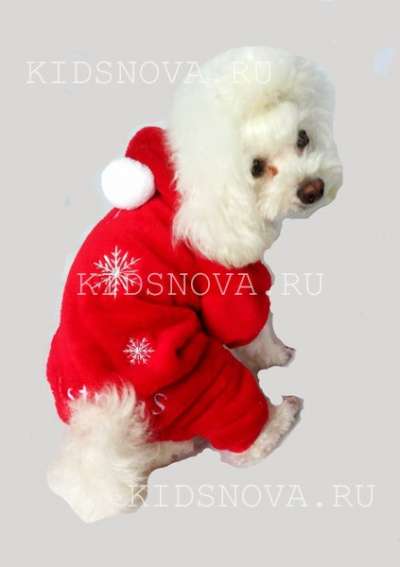 Костюм новогодний Merry Christmas