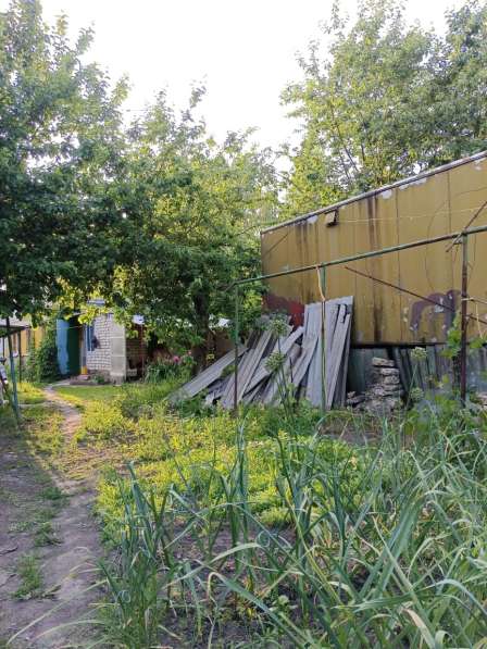 Продам дом в с. Рябинки в Елеце фото 5