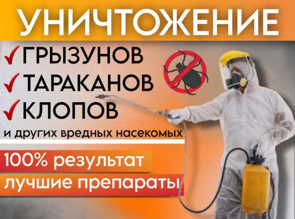 Уничтожение тараканов, клопов, насекомых