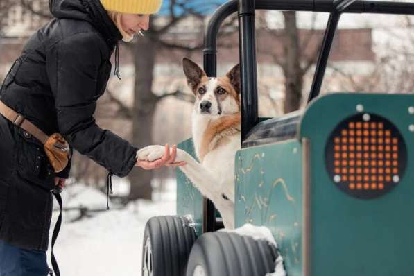 Тунис в поисках любящей семьи в Москве фото 25