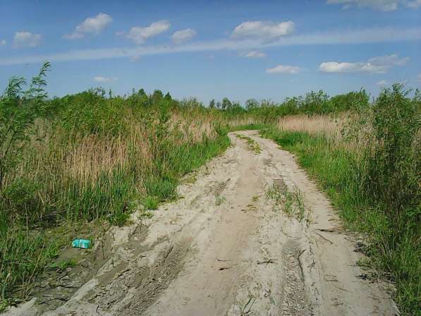 Липовое озеро, федеральная трасса в Тюмени фото 14