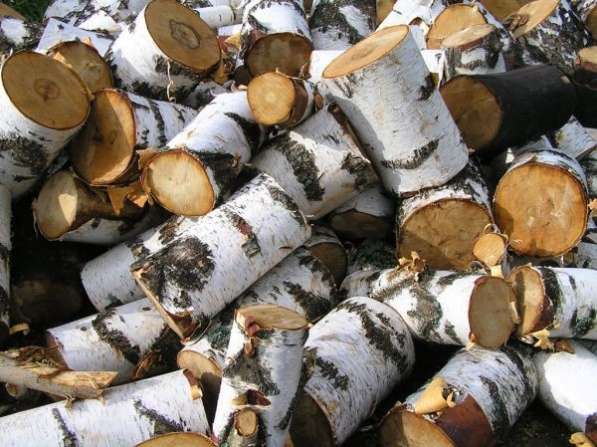 Доставка колотых дров в Челябинске