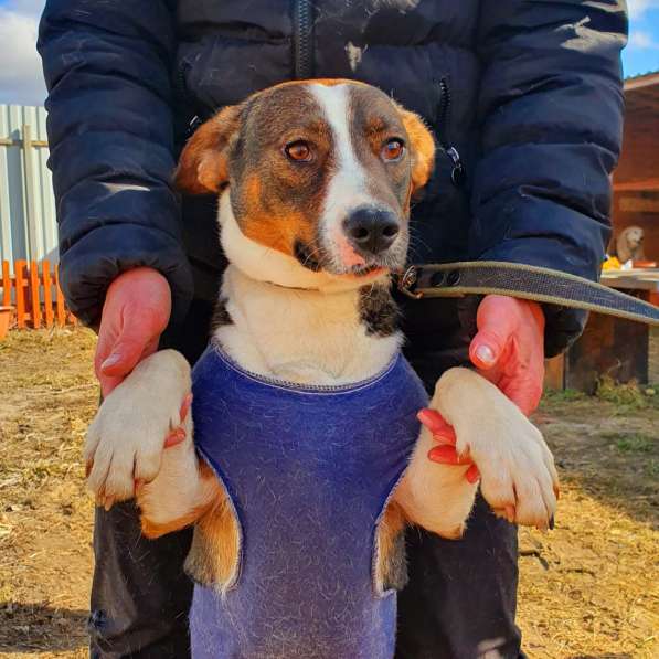 Красота -ее стихия, а зовут ее-София!!!