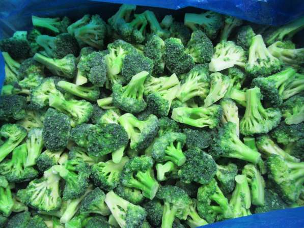Broccoli IQF frozen - 1.3$