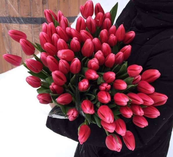 Тюльпаны оптом и в розницу к 8 марта! в Воронеже фото 6