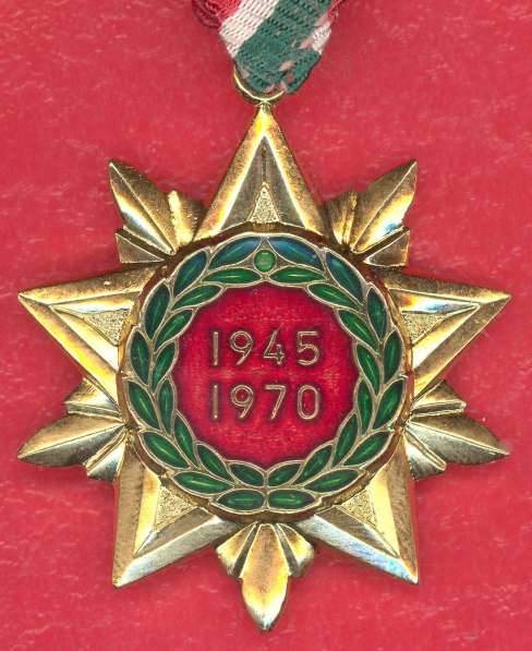 Венгрия медаль 25 лет Освобождения в Орле фото 3