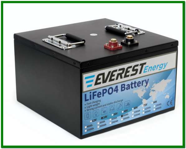 Тяговые литиевые аккумуляторы Everest Energy LFP-24V80А в Санкт-Петербурге фото 3