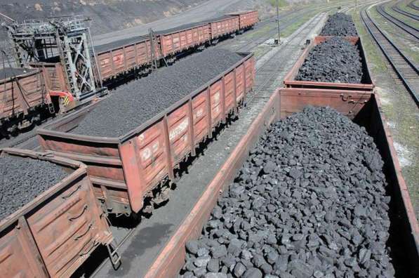 Оптовая продажа угля без пули от производителя прямые продаж в Волгограде фото 3