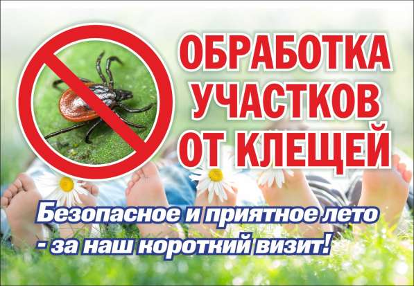Противоклещевая обработка в Петрозаводске фото 3