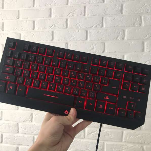 TESLA TKL 2020