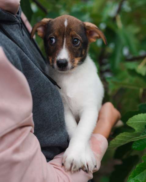 Саломея в Москве фото 8