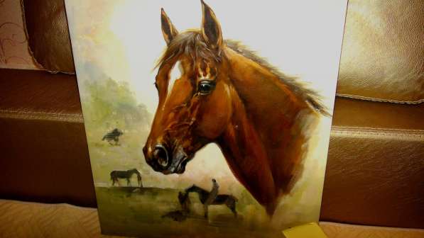 Резервация (Лошадь),50х60см, Картина маслом на холсте в Москве фото 3