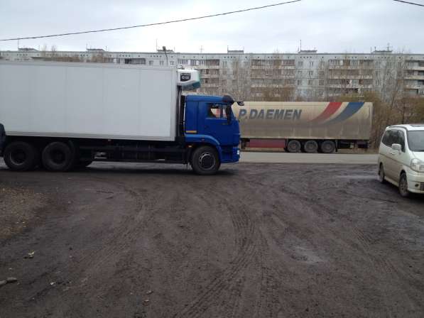 Грузоперевозки рефрижераторами в Омске фото 5