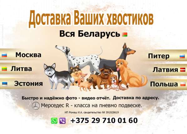 Перевозка хвостиков в 