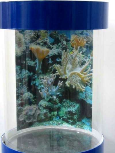 Уникальный комплексный аквариум в Магнитогорске фото 4