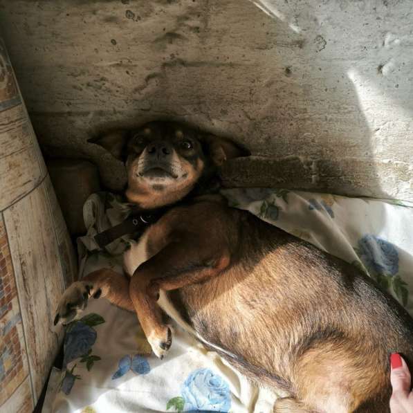 Чудесный мальчик Митя из приюта ищет семью в Санкт-Петербурге