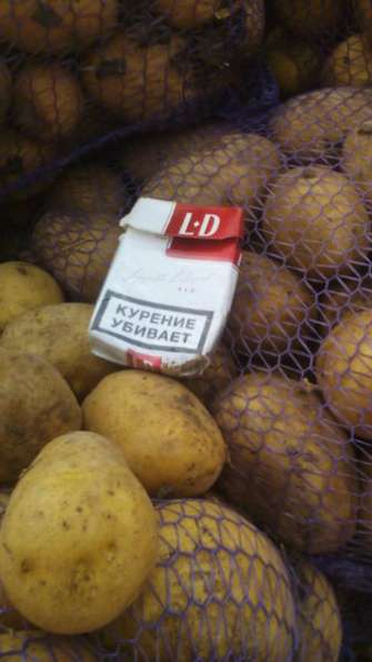 Картофель оптом от фермера c доставкой. в Чебоксарах