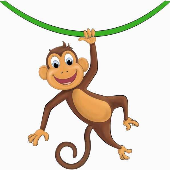Обезьянка ищет ответственную, обеспеченную Семью. Monkey в фото 13