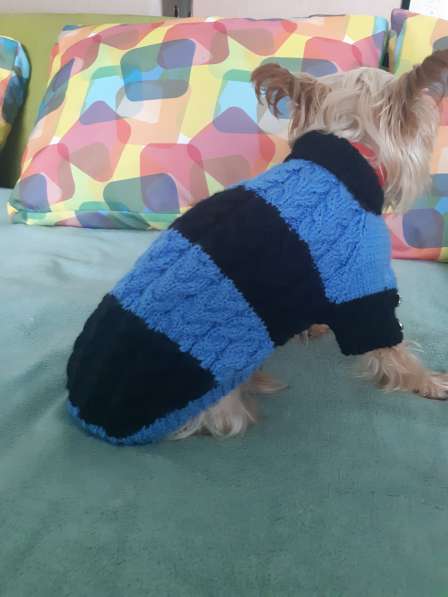 Вязанный свитерок для собачки в фото 4