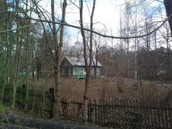 Земельный участок в г. Зеленогорск в Санкт-Петербурге