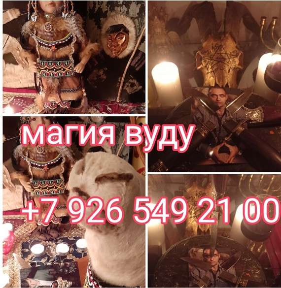 Книга в Сочи фото 3