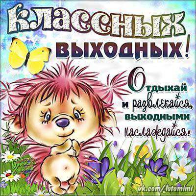 Возьму кошку Донского Сфинкса в Кирове