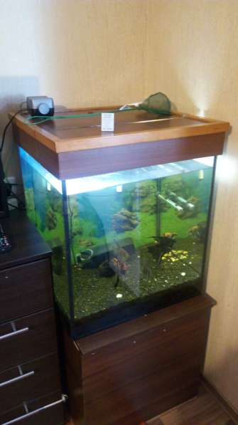 Продам аквариум-куб 160 литров