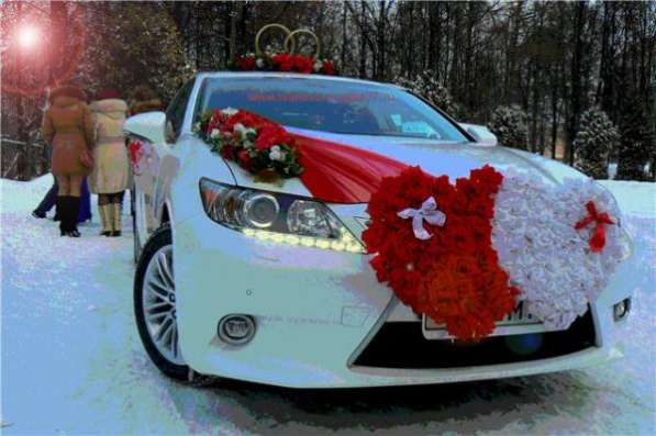 Прокат свадебных украшений для машин в Иванове