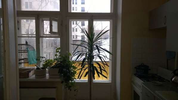 ПРОДАЮ ИЛИ МЕНЯЮ КОМНАТУ НА ФРУНЗЕНСКОЙ НАБЕРЕЖНОЙ в Москве фото 60