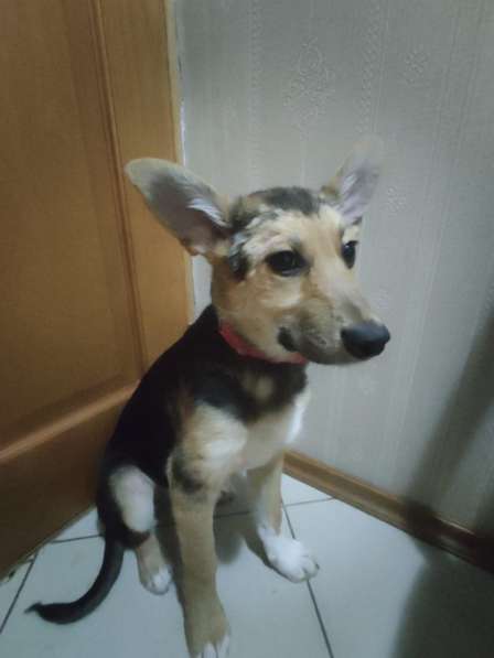 Малыши Герда и Грант идут дом в Москве