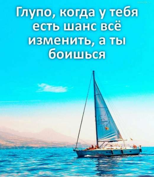 Обучающие каналы Telegram