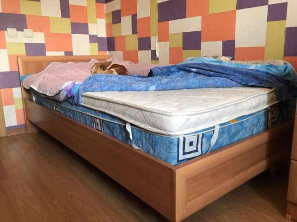 Одноместная кровать в Электрогорске
