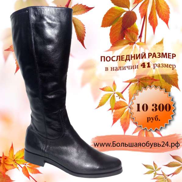 Сапоги женские