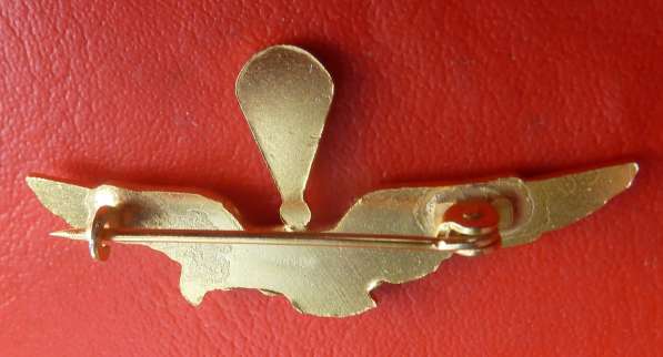 Италия знак Пилот десантного самолета ВВС 22х46 мм в Орле фото 3