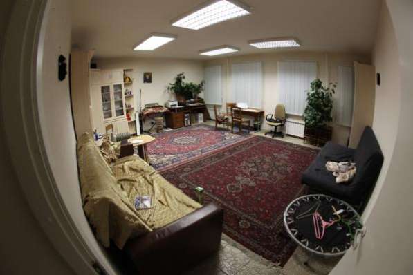 Торговое помещение по адресу Лиговский пр. д. 119 в Санкт-Петербурге фото 5