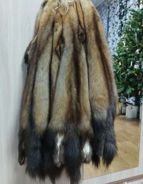 Шкуры соболя в Перми фото 3