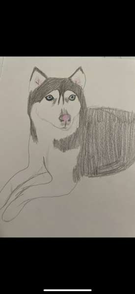 Рисунок вашего питомца в Екатеринбурге фото 4