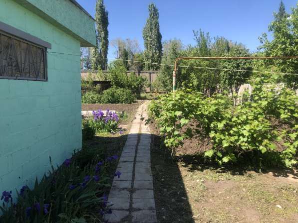 Дача в Орске фото 8