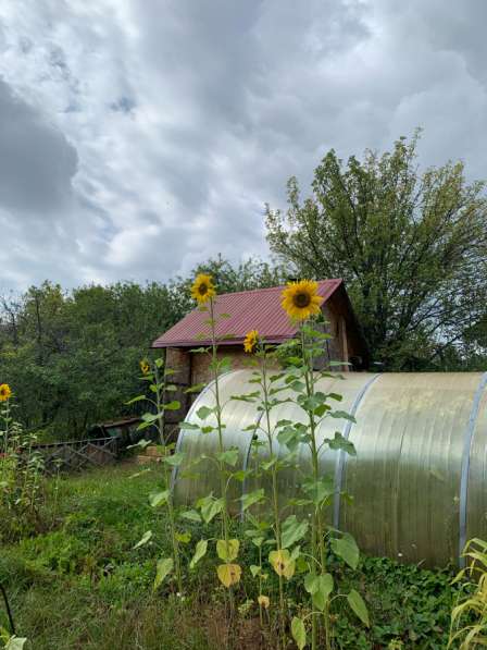 Продам дачу - огород в СНТ Пальники в Ижевске фото 3