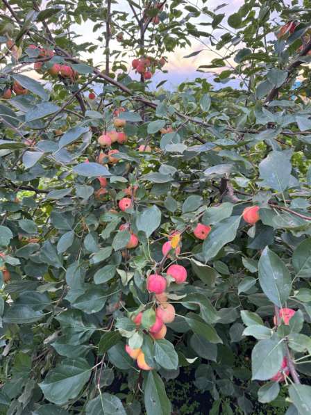 Продажа дома в Иркутске