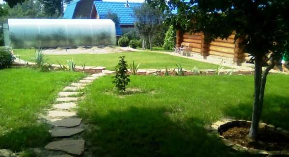 Ландшафтный дизайн, озеленение, уход за садом и участком в Новосибирске фото 7
