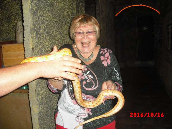 Татьяна, 56 лет, хочет познакомиться в Шадринске фото 3