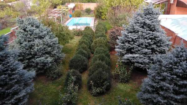 Продам дом в Ростов-на-Дону.Жилая площадь 400 кв.м. в Ростове-на-Дону фото 19