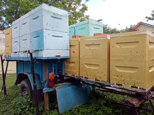 Ульи для пчёл из пенополиуретана в Краснодаре фото 3