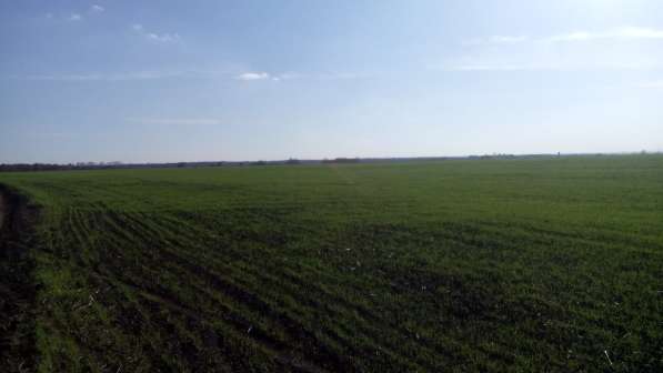 Земля сельхозназначения - 35,7 га в Курске