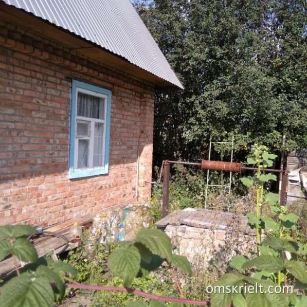 Срочно продам дачу в Омске фото 20