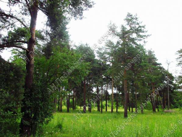 realty_mapper3.plot_in_locationСадовое некоммерческое тов-во. Есть Газ, Водопровод. в Москве фото 21