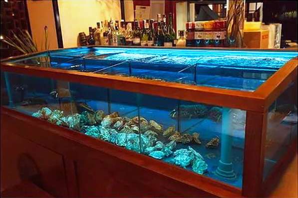 Изготовление торговых аквариумов для рыбы, раков, устриц